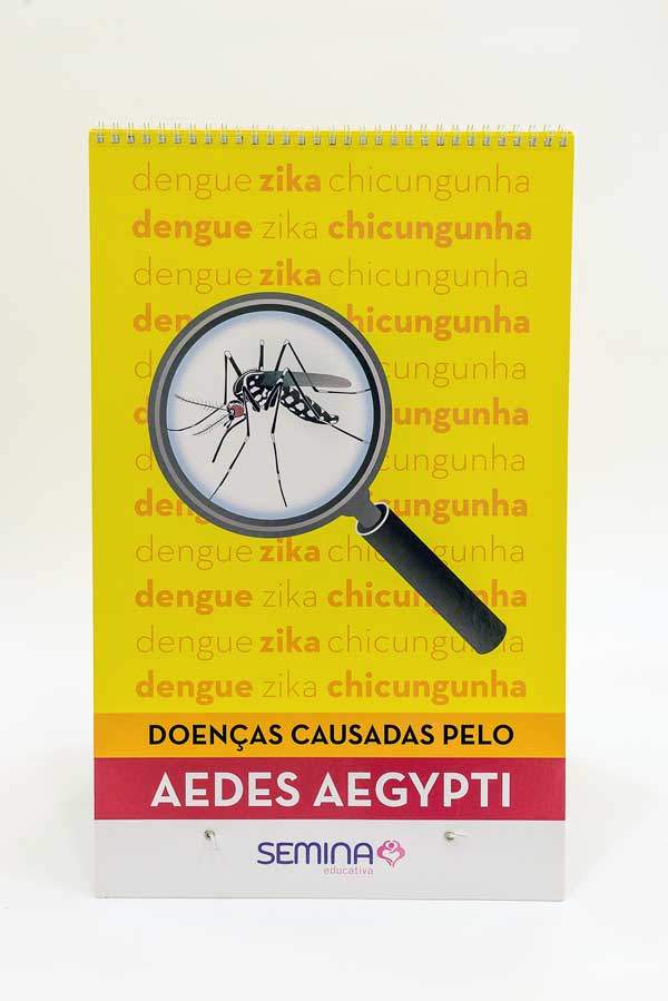KIT 2 - EDUCAÇÃO - PRÉ ADOLESCENTES - FUNDAMENTAL 2 - Imagem 2