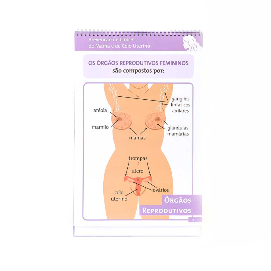 ÁLBUM DE PREVENÇÃO AO CÂNCER DE MAMA E COLO UTERINO - Imagem 4