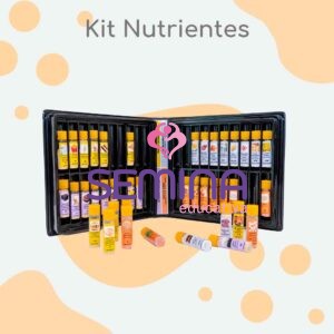 Estojo de Valores Nutricionais